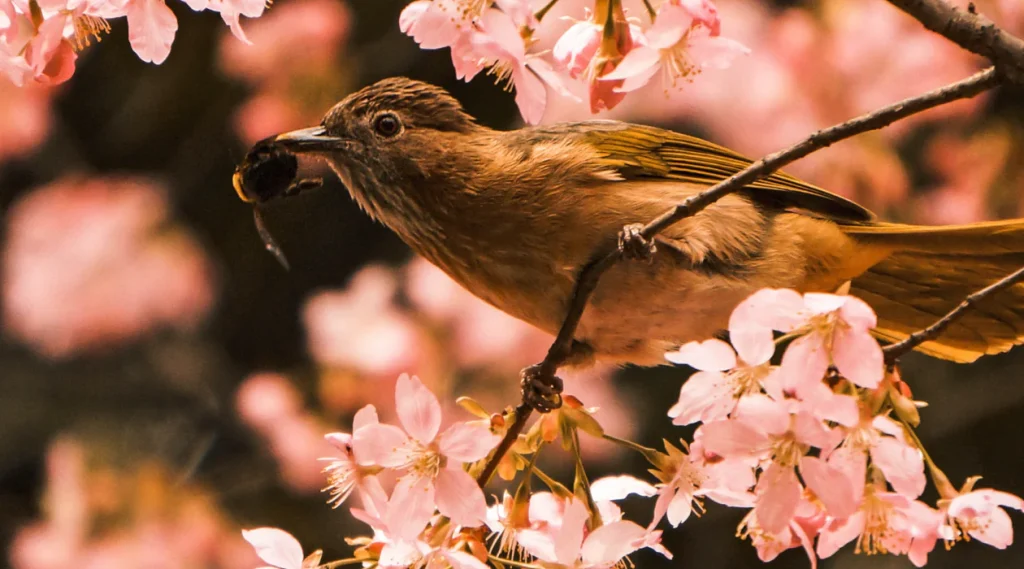 Blog Article 1 1024x569